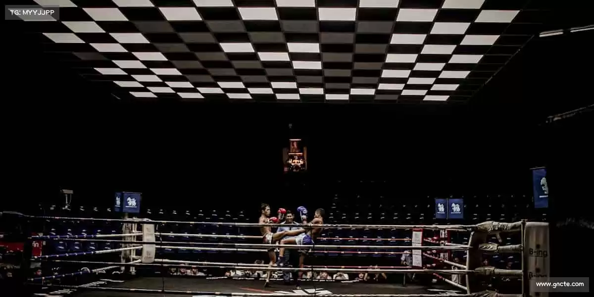 为什么选择我们